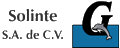 Solinte S.A. de C.V.
